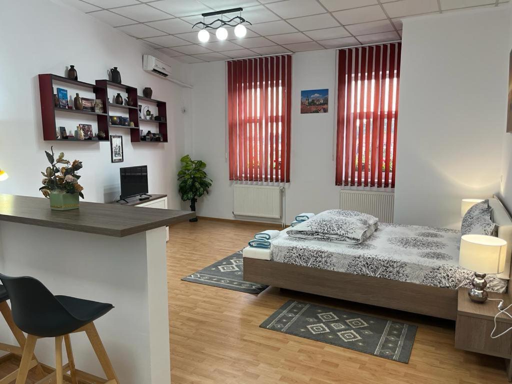 Panorama Studio Sighişoara Extérieur photo