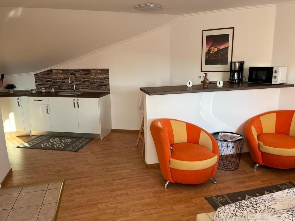 Panorama Studio Sighişoara Extérieur photo
