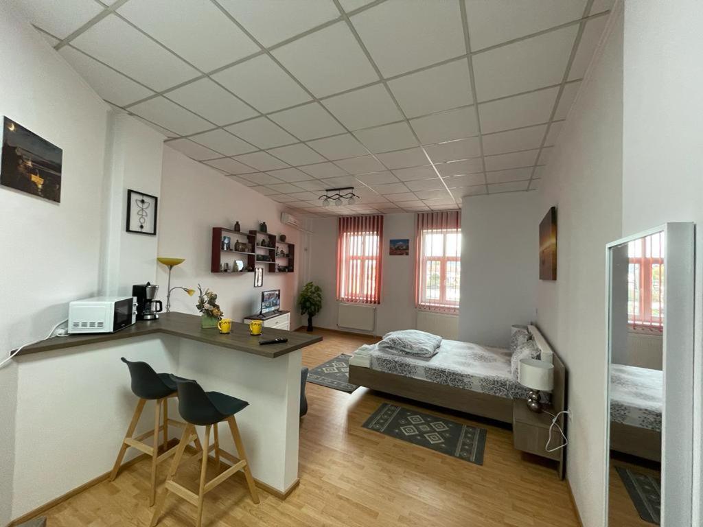 Panorama Studio Sighişoara Extérieur photo