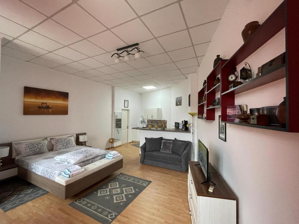Panorama Studio Sighişoara Extérieur photo