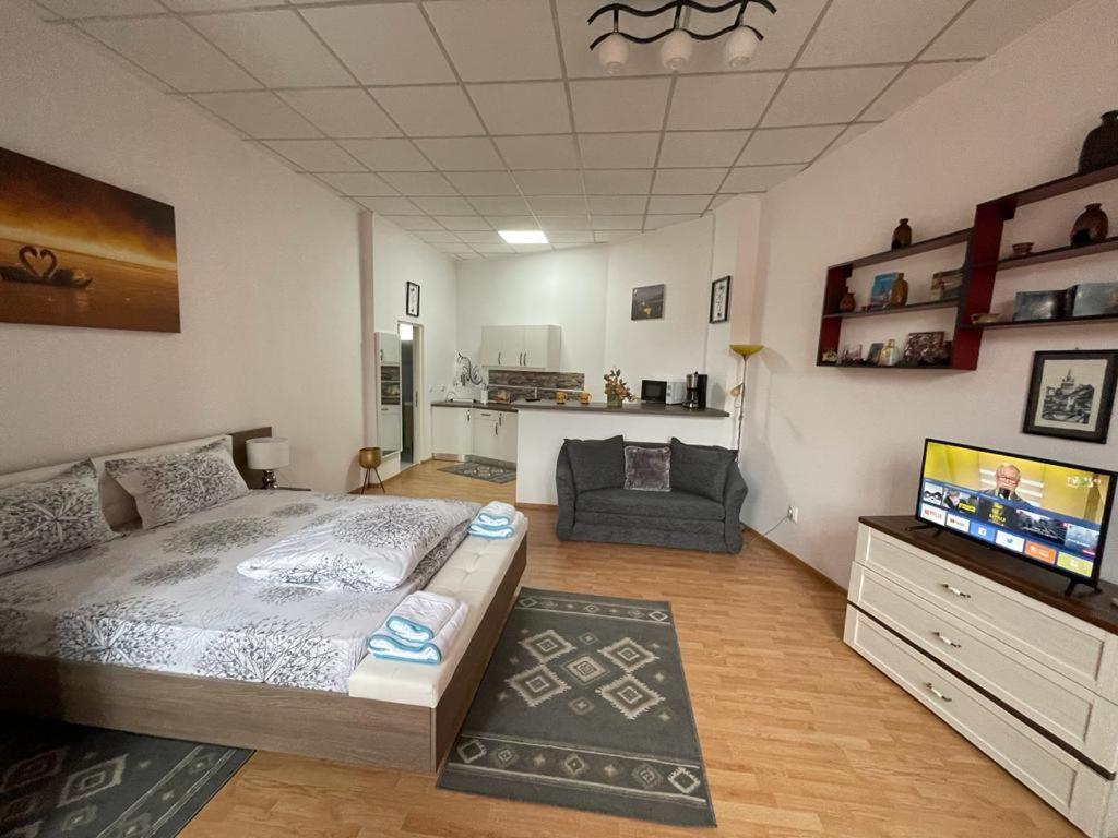 Panorama Studio Sighişoara Extérieur photo