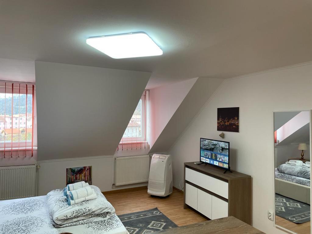 Panorama Studio Sighişoara Extérieur photo